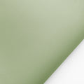 #Culoare_2011