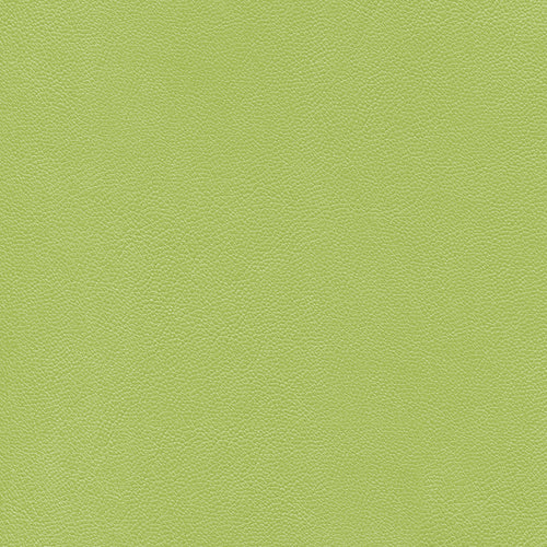 Piele Ecologica Inca