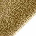 Sample - Bulldog
