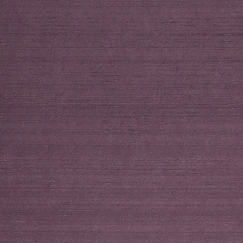 Sample - blanca