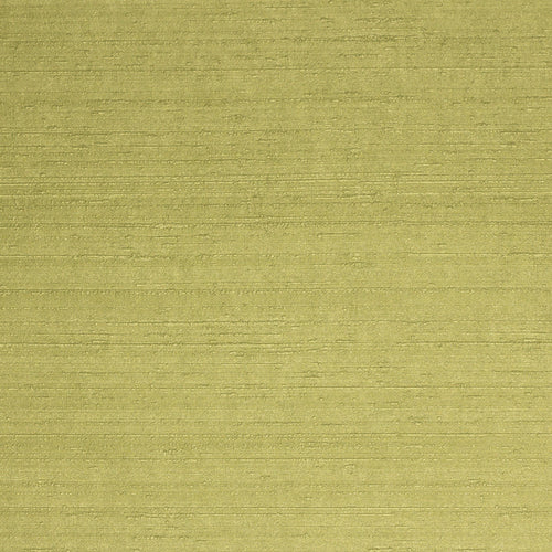 Sample - blanca