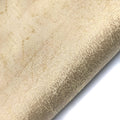 Sample - Riva