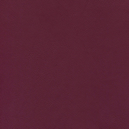 Piele Ecologica Inca