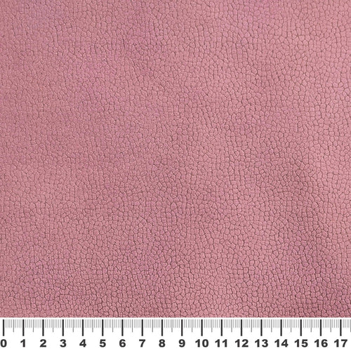 Sample - Sierra